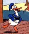 Donald Duck Taliaferro.jpg